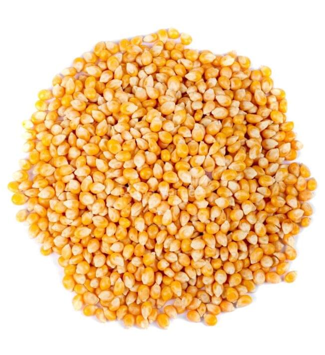 Pipoca Mushroom: O Segredo das Pipocas Perfeitas